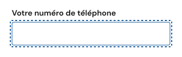 Un exemple d'état focus utilisant une bordure de 2 pixels en pointillés autour du champ à 2 pixels de distance de la bordure originale