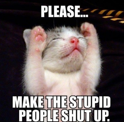 Please… Make the stupid people shut up (dit le petit chaton)